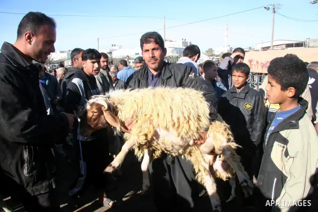 Palestinians buy a sheep from the market in Gaza City on December 5, 2008, days before the holiday of Eid al-Adha. Muslims around the world celebrate Eid al-Adha by sacrificing sheep, goats, buffalos, camels and cows to...