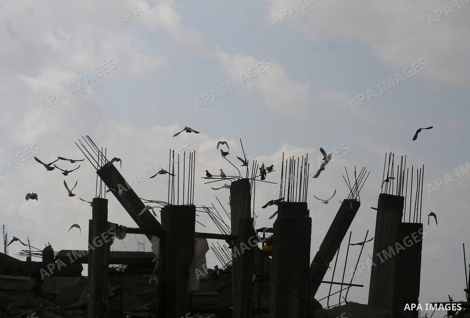 Biedes fly over the destroyed house in Jabalia Northern of Gaza Strip on, March 1, 2009. APAIMAGES PHOTO / Ashraf Amra