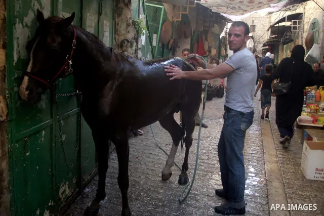 A sights from old city of hebron. With the Al-Aqsa Intifada in 2000 and the outbreak of clashes between Israeli forces and Palestinians in areas surrounding the town of old city of Hebron, the Israeli army imposed a bloc...