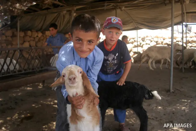Palestinians live in caves depend on herding the sheep, in the West Bank Village of Ghenba, southern Hebron City.