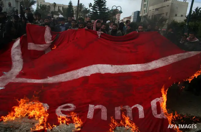 Palestinians burn a flag of Denmark during a protest in Gaza. The rally, organised by popular resistant committees, was a protest against a cartoon of Prophet Mohammad that was republished by Danish newspapers on Februar...