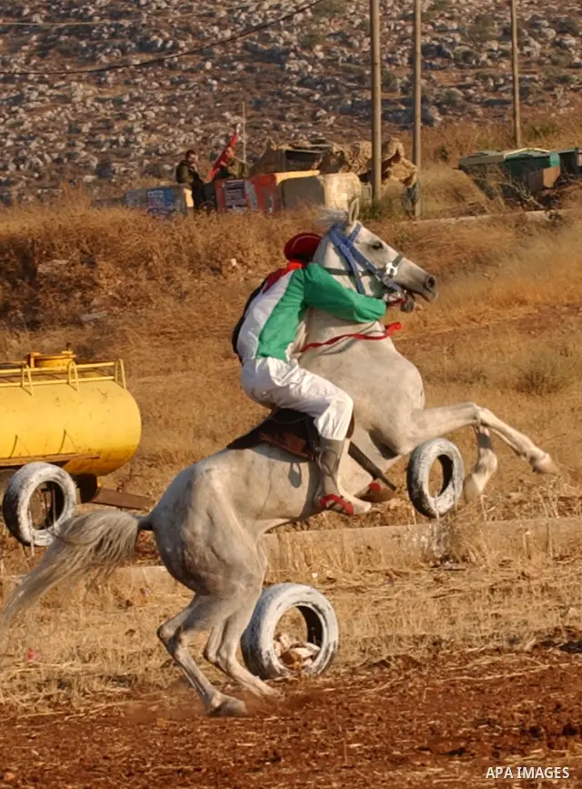 A Palestinians ride Arabian horses during the horse-race in the west bank city of Nablus on July 11, 2009. Photo by Nedal Shtieh