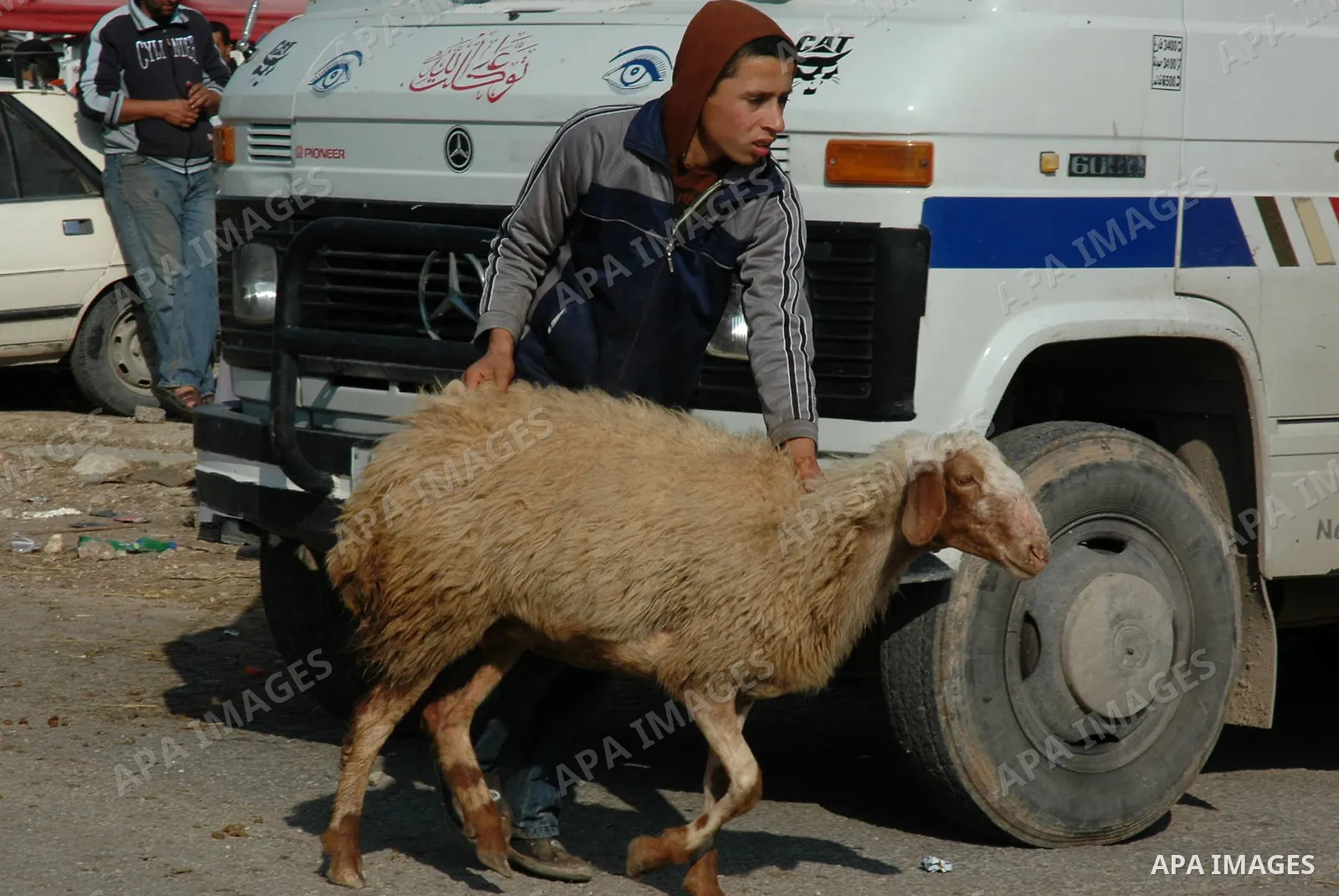 A Palestinians buy goats and sheep at a market in preparation for the upcoming Eid al-Adha festival in the West Bank city of Nablus, on Nov. 26, 2009. Muslims worldwide are preparing for the Eid al-Adha festival, with th...