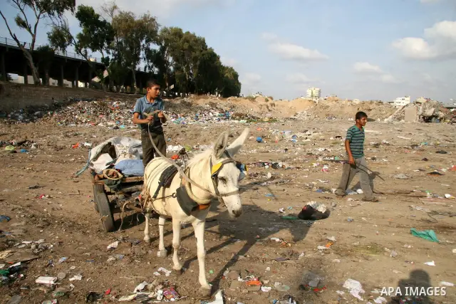 Palestinians collect rubbish for re-sale at a dump site in Gaza City in the impoverished Gaza Strip. Some Palestinians, driven by poverty exacerbated by the Israeli blockade and lack of employment opportunities, have res...