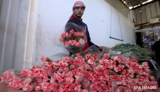 Palestinian workers collect red carnations for export at the Hijazi flower farm in rafah , in the southern Gaza Strip, on March 26, 2009. The Palestinian farmers, whose exports are crippled by an Israeli blockade on the...