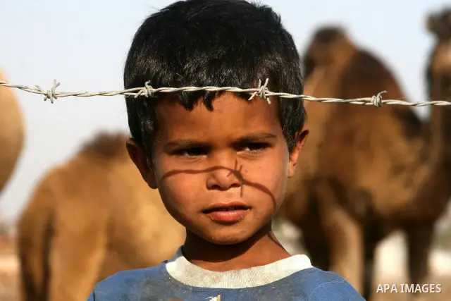 Palestinian refugees from bedouin clan live in a tents central Gaza Strip. As Israel celebrates its 60th anniversary, Palestinians commemorate the Nakba, the expulsion of some 700,000 people during the 1948 war, an event...