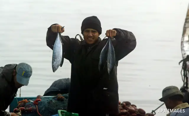 A Palestinian fisherman carries his catch after a night at the sea in the port of Gaza City on July 9, 2009. Fishermen, suffer from the tightening of the Israeli siege imposed on Palestinian fishermen a forbidden fisherm...
