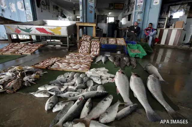 A Palestinian man selling a the fish on the market in Gaza City on July 9, 2009. Fishermen, suffer from the tightening of the Israeli siege imposed on Palestinian fishermen a forbidden fishermen by Israel to enter the se...