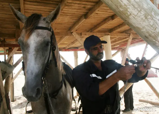 A Hamas Police horsemen prepare their horses to patrol in Gaza city on July 10, 2009. Photo by Mohammed Asad
