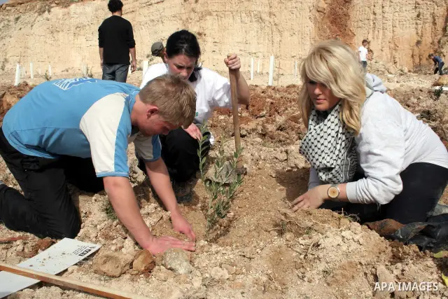 Israeli and foreign peace activists help Palestinian farmers to cultivate their land near a former military camp of the Israeli army on the edge of Beit Sahour city near the West Bank city of Bethlehem, February12, 2010....