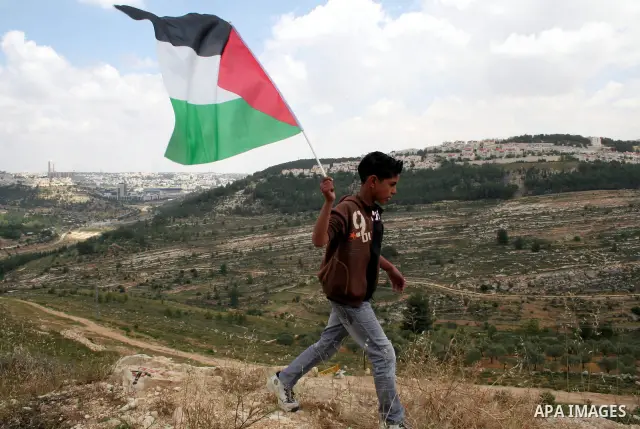 A Palestinian boy waves his national flag during a demonstration by Palestinians and foreign peace activists against Israel's controversial separation barrier in the West Bank village of Walajeh near the Palestinian bibl...