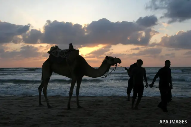 Palestinian man rides his camel during sunset on the beach of Gaza City May 19, 2010. Photo by Ashraf Amra
