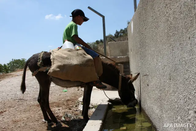 A Palestinian boy drinks his donkey water from a spring water in the village of Iraq Burin, in the West Bank city of Nablus on July 1, 2010 as Palestinians in the village suffer from the shortage of water. Israel on Thur...