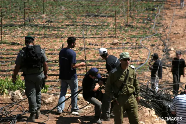 Israelis working with their army remove irrigation pipes from Palestinian agriculture land on July 6, 2010 in the West Bank city of Hebron across the road from the Israeli settlement of Kiryat Arba. Photo by Mamoun Wazwa...