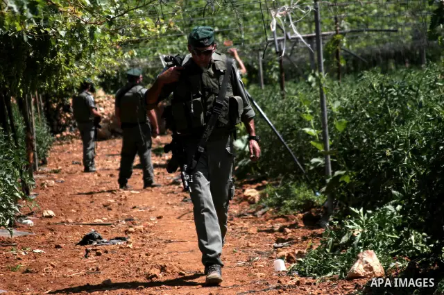 Israeli soldiers keep watch as Israelis working with their army remove irrigation pipes from Palestinian agriculture land on July 6, 2010 in the West Bank city of Hebron across the road from the Israeli settlement of Kir...