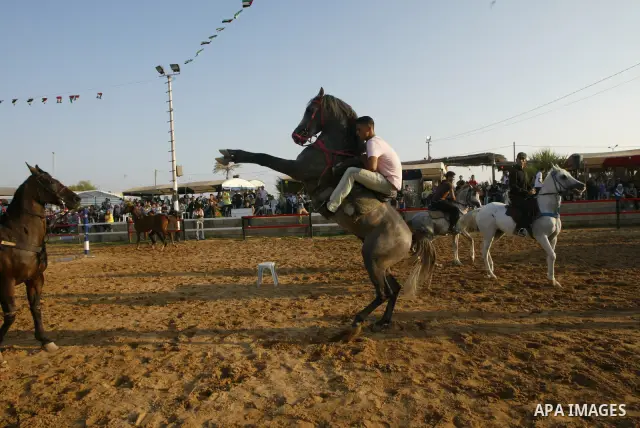 Palestinians ride horses during the "Jump Championship" local race in Gaza City July 15, 2010. Photo by Ashraf Amra