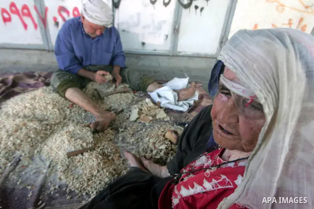 Palestinian brother Ahmed (80) and his sister Aisha Riyati (82) cut adry bread for birds near their house in the southern Gaza Strip town of Rafah on August 29,2010. Ahmed and Aisha live in an abandoned house suffering f...