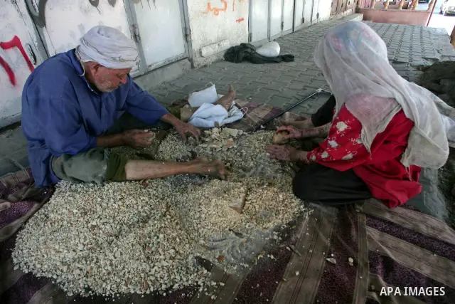Palestinian brother Ahmed (80) and his sister Aisha Riyati (82) cut adry bread for birds near their house in the southern Gaza Strip town of Rafah on August 29,2010. Ahmed and Aisha live in an abandoned house suffering f...