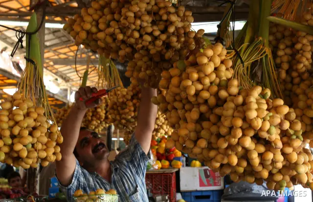 A Palestinian man prepares his dates to sell in the West Bank city of Nablus on Sept 7,2010 , as Muslims the world over prepare to celebrate Eid al-Fitr, a three day holiday marking the end of the religious month of Rama...