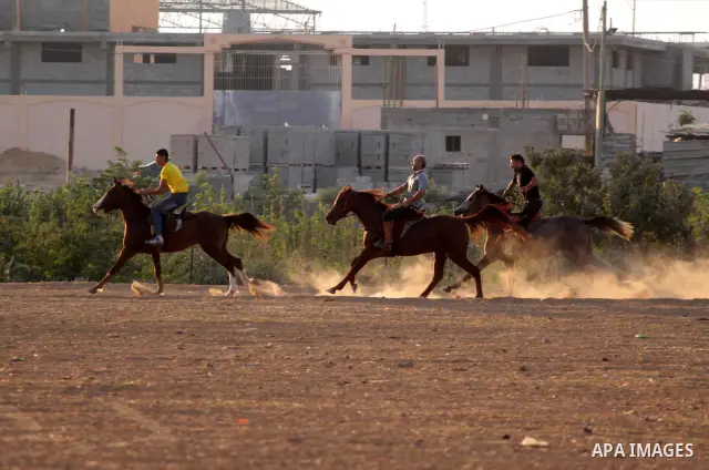 Palestinian jockeys demonstrate their skills as they ride their horses during a race in Gaza city on Sept. 17, 2010. Tens of Palestinians from all over the Gaza Strip gathered to follow the horse race on Friday in the ea...