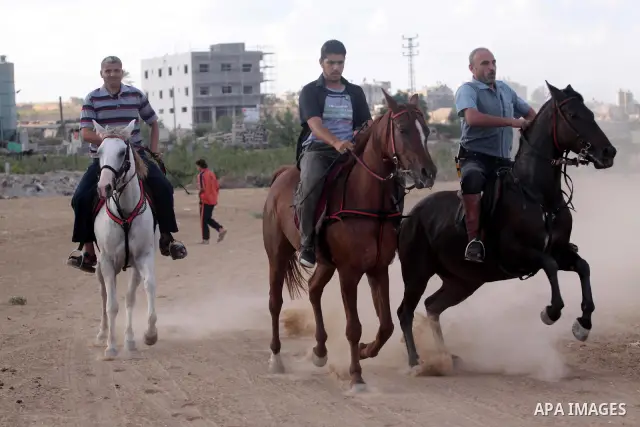Palestinian jockeys demonstrate their skills as they ride their horses during a race in Gaza city on Sept. 17, 2010. Tens of Palestinians from all over the Gaza Strip gathered to follow the horse race on Friday in the ea...