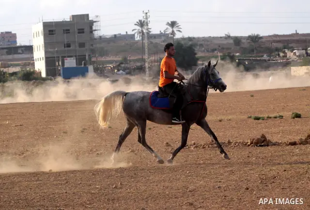 Palestinian jockeys demonstrate their skills as they ride their horses during a race in Gaza city on Sept. 17, 2010. Tens of Palestinians from all over the Gaza Strip gathered to follow the horse race on Friday in the ea...