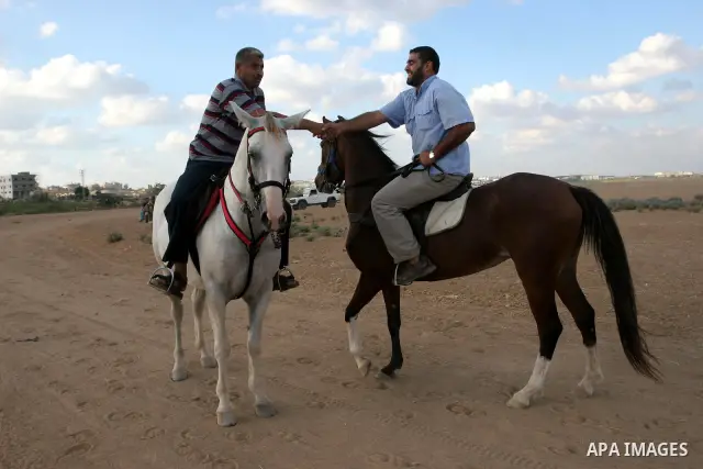 Palestinian jockeys demonstrate their skills as they ride their horses during a race in Gaza city on Sept. 17, 2010. Tens of Palestinians from all over the Gaza Strip gathered to follow the horse race on Friday in the ea...