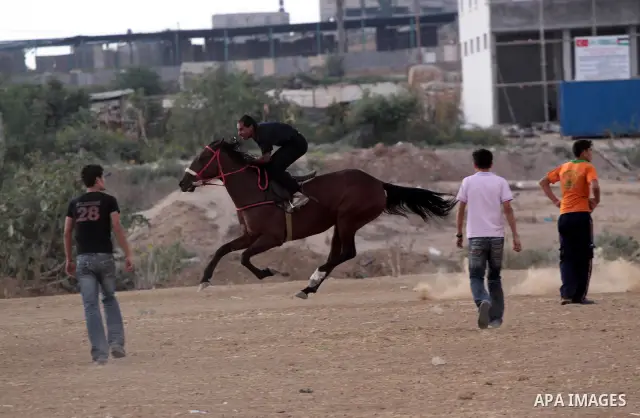Palestinian jockeys demonstrate their skills as they ride their horses during a race in Gaza city on Sept. 17, 2010. Tens of Palestinians from all over the Gaza Strip gathered to follow the horse race on Friday in the ea...