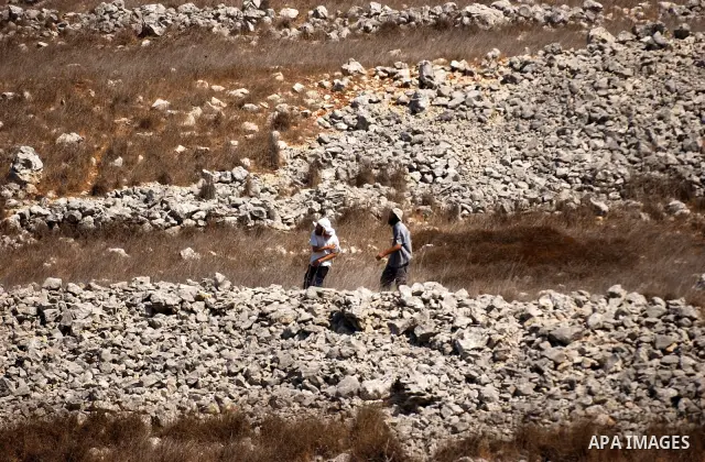 Israeli Jewish settlers from Brakha settlement hurl stones at Palestinians during clashes between residents of the Israeli Bracha settlement and Palestinian farmers from the West Bank Burin village on September 21, 2010....