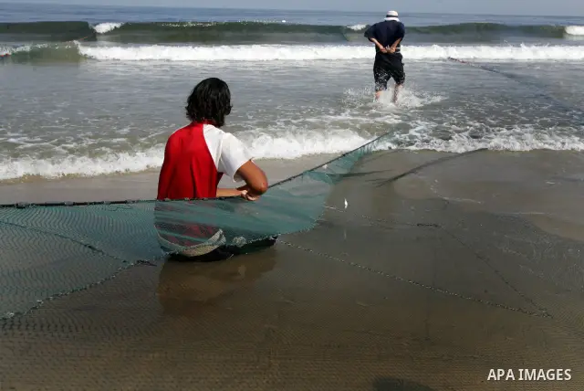 Palestinian fishermen pull their nets at the beach of Gaza city September 24, 2010. The Israeli navy fired on a Palestinian boat off the northern Gaza Strip on Friday, killing fisherman, the territory's Hamas administrat...