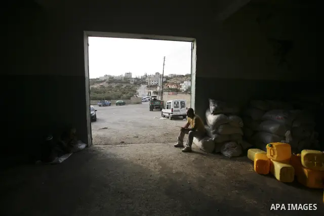 Palestinians prepare to squeeze olives at a traditional olives mill in Kharbathat Musbah village near the West Bank city of Ramallah October 3, 2010. Farmers across the Palestinian territories have started to harvest the...