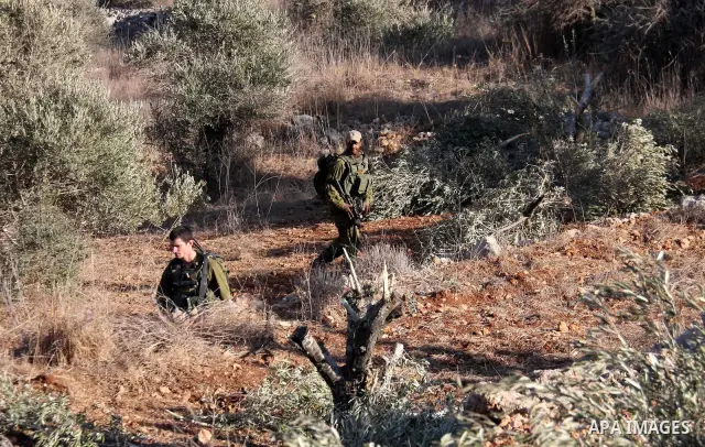 Palestinian farmers and Israeli soldiers inspect the olive trees which were cut overnight by Jewish settlers from the Israeli settlement of Yitzhar in the northern West Bank village of Hawara, near Nablus, Wednesday Oct....