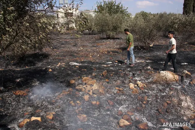 Palestinian farmers from the village of Hawara extinguish fire at their olives tree grove that was allegedly set ablaze by Jewish settlers from the nearby settlement of Yitzhar in the northern West Bank on October 7, 201...