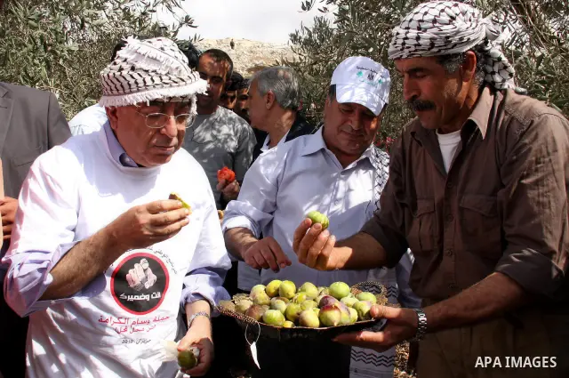 Palestinian Prime Minister Salam Fayyad takes part at a meal to break the daily picks olives as he visits Palestinian farmers during the harvest season in the West Bank village of in Iraq Burin, near Nablus, Saturday, Oc...