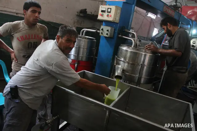 Palestinian men work in an olive oil factory during the olive harvest season , in Gaza City on October 9, 2010 . Palestinians began the annual harvest of olives, a staple for many local farmers that also use to make oliv...