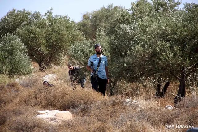 Jewish settlers raise their guns at Palestinians farmers who are picking olives at Azmout village near the West Bank City of Nablus, 15 October 2010. Israeli settlers shoot into the air to stop Palestinians from collect...