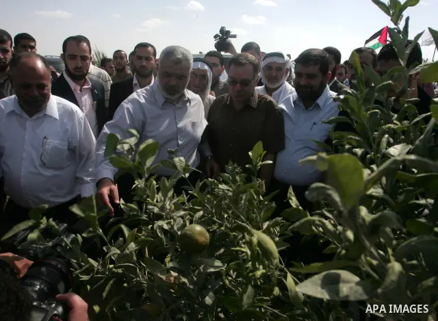 Palestinian Prime Minister in Gaza Strip, Ismail Hanyieh attends the inauguration ceremony of the largest plantation of citrus and fruits built on the site of a former Jewish settlement near Khan Yunis in the southern Ga...
