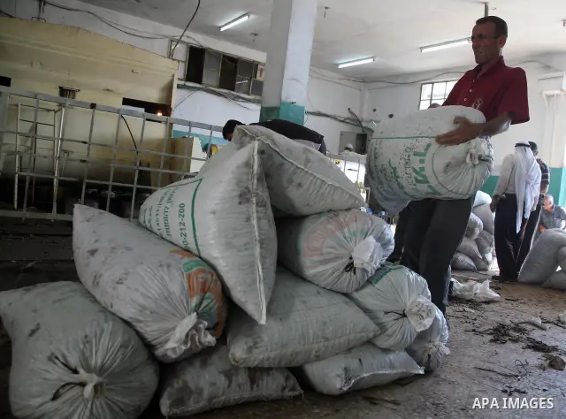Palestinians watch as olives are crushed to make olive oil in the West Bank village of Beit Ola near Hebron, on October 24, 2010. Farmers across the Israeli occupied West Bank are amidst harvesting their olives to make o...