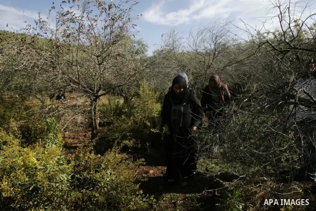 Palestinian farmers crosses a polluted stream in his olive grove, near the village Deir al-Hattab, near Nablus,Tuesday Oct. 26 ,2010. Resident of the West Bank village of Deir al-Hattab who farm this area accuse hardline...