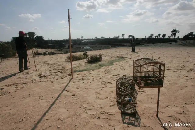 Palestinian youths hunting birds in southern Gaza Strip town of Khan Younis on Oct.31,2010 . Bird hunting is a hobby practiced with the onset of winter for the most of the younger generation in Gaza Strip . Photo By Khal...