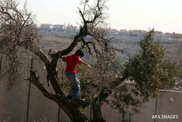 A Palestinian protester hurls stones at Israeli soldiers during clashes in the West Bank village of Nilin, near the Palestinians city of Ramallah,on Nov. 5, 2010. Clashes erupted during the weekly demonstrations, which a...