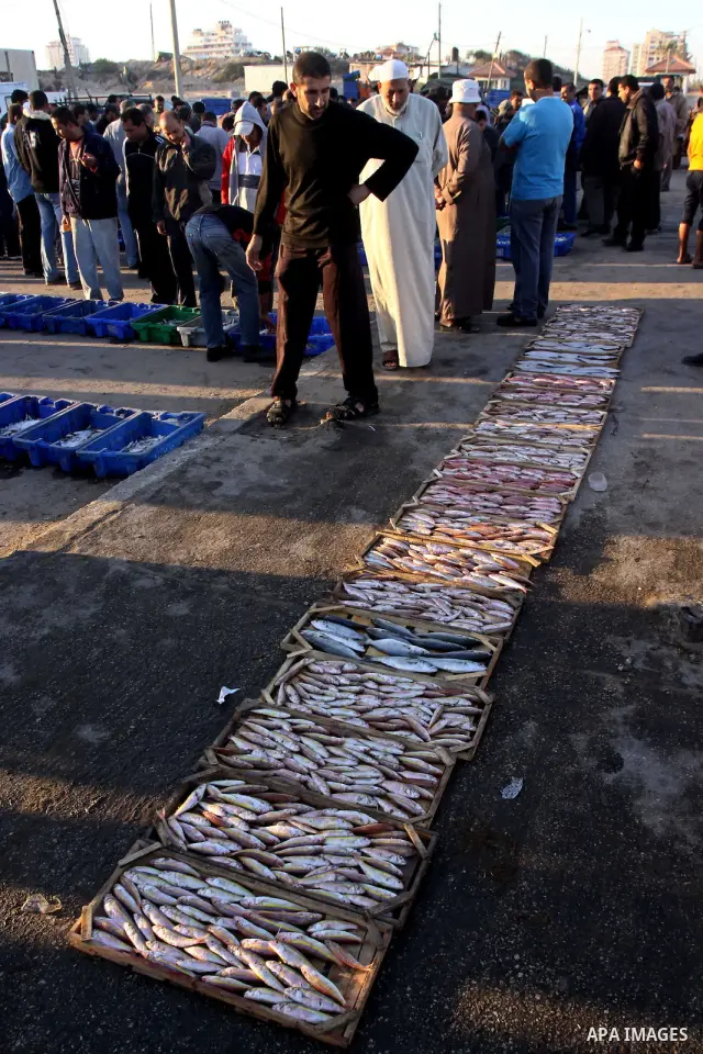 Palestinian fishermen sell their catch after a night at the sea in the port of Gaza City on Nov. 9, 2010. Fishermen, suffer from the tightening of the Israeli siege imposed on Palestinian fishermen a forbidden fishermen...