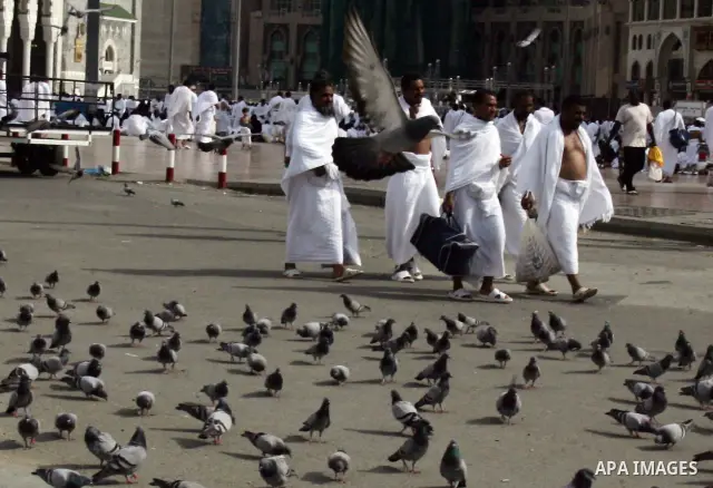 Muslim pilgrims walk outside the Grand Mosque during the annual Hajj in Mecca, Saudi Arabia, Nov 14, 2010. Some 2.5 million Muslims from more than 160 countries converge annually on the Islamic cities of Mecca and Medina...