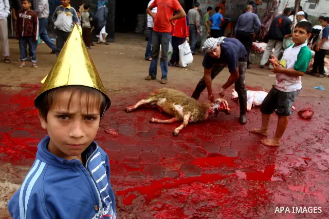 Palestinian butchers slaughter goats on the first day of Eid al-Adha in Gaza City, Tuesday, Nov. 16, 2010. Muslims worldwide celebrate Eid al-Adha, or the Feast of the Sacrifice on Nov. 16, by sacrificial killing of shee...