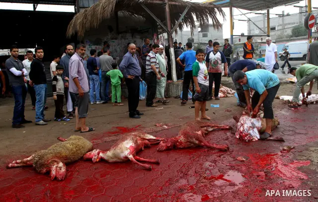 Palestinian butchers slaughter goats on the first day of Eid al-Adha in Gaza City, Tuesday, Nov. 16, 2010. Muslims worldwide celebrate Eid al-Adha, or the Feast of the Sacrifice on Nov. 16, by sacrificial killing of shee...
