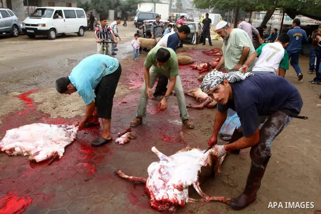 Palestinian butchers slaughter goats on the first day of Eid al-Adha in Gaza City, Tuesday, Nov. 16, 2010. Muslims worldwide celebrate Eid al-Adha, or the Feast of the Sacrifice on Nov. 16, by sacrificial killing of shee...