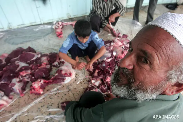 Palestinian butchers slaughter cows on the first day of Eid al-Adha in the southern Gaza Strip twon of Rafah, Tuesday, Nov. 16, 2010. Muslims worldwide celebrate Eid al-Adha, or the Feast of the Sacrifice on Nov. 16, by...