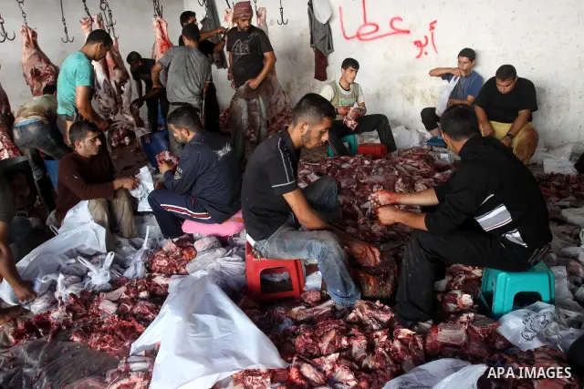 Palestinian butchers slaughter cows on the second day of Eid al-Adha in Gaza City, Wednesday, Nov. 17, 2010. Muslims worldwide celebrate Eid al-Adha, or the Feast of the Sacrifice on Nov. 16, by sacrificial killing of sh...