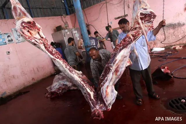Palestinian butchers slaughter cows on the second day of Eid al-Adha in Gaza City, Wednesday, Nov. 17, 2010. Muslims worldwide celebrate Eid al-Adha, or the Feast of the Sacrifice on Nov. 16, by sacrificial killing of sh...