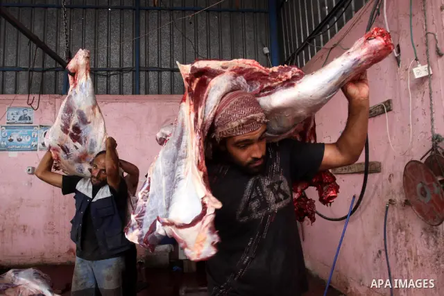 Palestinian butchers slaughter cows on the second day of Eid al-Adha in Gaza City, Wednesday, Nov. 17, 2010. Muslims worldwide celebrate Eid al-Adha, or the Feast of the Sacrifice on Nov. 16, by sacrificial killing of sh...